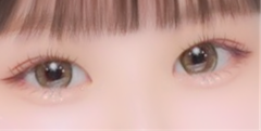 レビュー写真