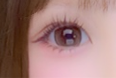 レビュー写真