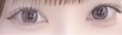 レビュー写真