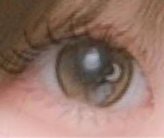 レビュー写真