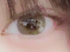 レビュー写真
