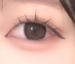 レビュー写真