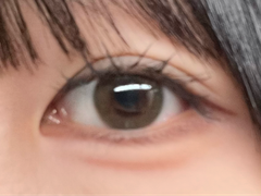 レビュー写真