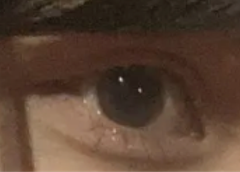 レビュー写真