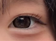 レビュー写真
