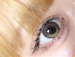 レビュー写真
