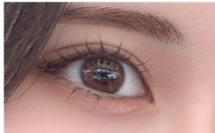 レビュー写真