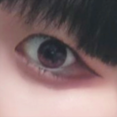 レビュー写真