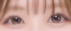 レビュー写真