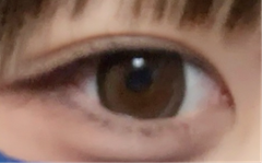 レビュー写真