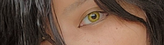 レビュー写真