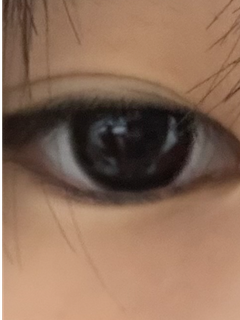 レビュー写真