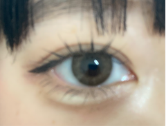 レビュー写真
