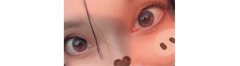 レビュー写真