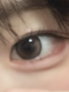 レビュー写真