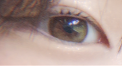 レビュー写真