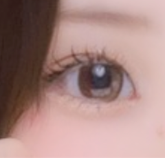 レビュー写真