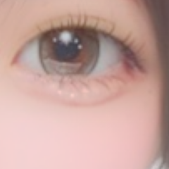 レビュー写真