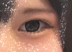 レビュー写真