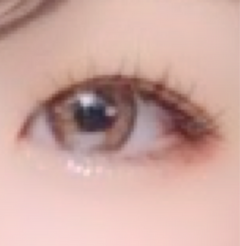 レビュー写真