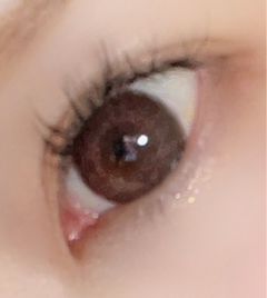 レビュー写真