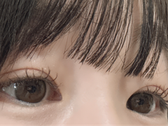 レビュー写真