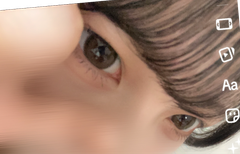 レビュー写真
