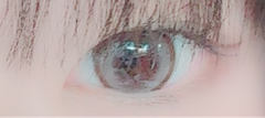 レビュー写真