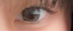レビュー写真