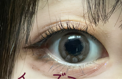 レビュー写真