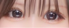 レビュー写真