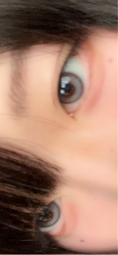 レビュー写真