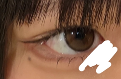 レビュー写真