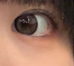 レビュー写真