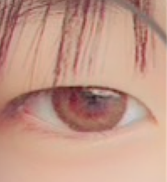 レビュー写真