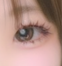 レビュー写真