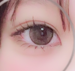 レビュー写真