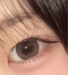 レビュー写真