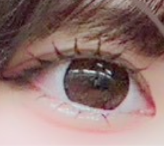 レビュー写真