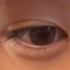 レビュー写真
