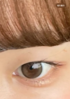 レビュー写真