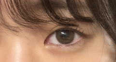レビュー写真