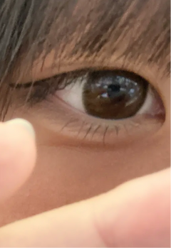 レビュー写真