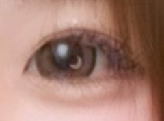 レビュー写真