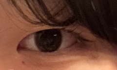 レビュー写真