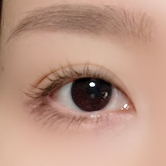 レビュー写真