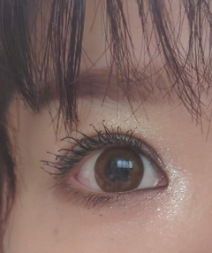 レビュー写真