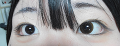 レビュー写真