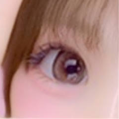 レビュー写真