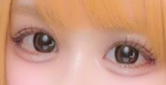 レビュー写真